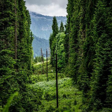 Glüxplatzl Appartements am Wald Sankt Martin am Tennengebirge Exterior foto