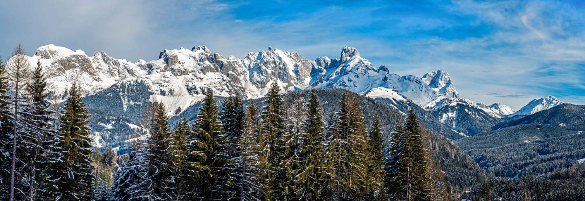Glüxplatzl Appartements am Wald Sankt Martin am Tennengebirge Exterior foto
